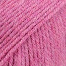 41 wild orchid thumbnail
