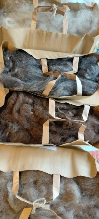 Kardet ull av gammelnorsk spælsau